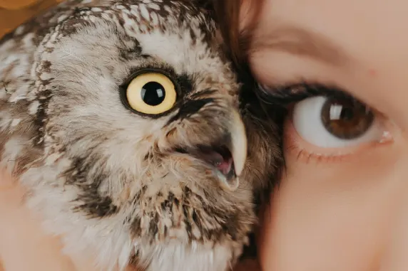 BoaBoa Kasino Podpora